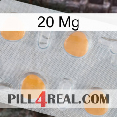 20 Mg 24